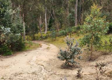 Farm For Sale - VIC - Kerrisdale - 3660 - "Ultimate Rural Retreat " 4x4 Required.  (Image 2)