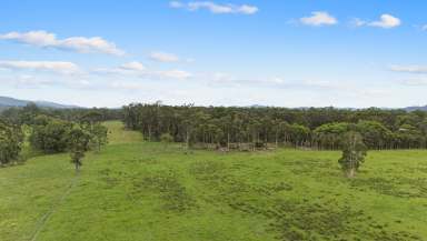 Farm For Sale - NSW - Bulahdelah - 2423 - CONVENIENTLY LOCATED & WELL DEVELOPED  (Image 2)