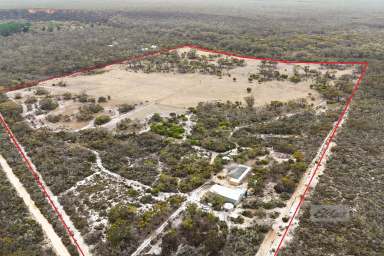 Farm For Sale - WA - Fitzgerald River National Park - 6346 - Off Grid Living by the National Park  (Image 2)