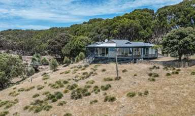 Farm For Sale - SA - Cuttlefish Bay - 5222 - Iconic Coastal Retreat on Kangaroo Island  (Image 2)