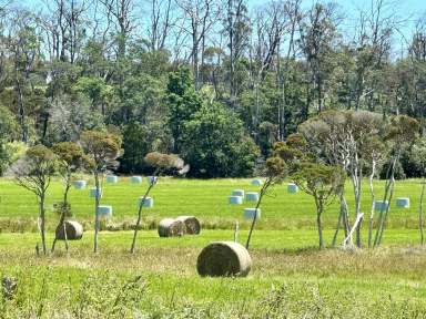 Farm For Sale - TAS - Bridport - 7262 - Embrace the Agricultural Lifestyle at Briddale Farm  (Image 2)