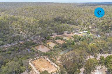 Farm For Sale - WA - Nannup - 6275 - Rural Paradise with Endless Opportunities - 380 River Road, Nannup WA 6275  (Image 2)