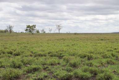 Farm Auction - QLD - Springsure - 4722 - Location - Multiple Titles - Freehold Country Mt Helmet-5,502.54 Hectares-13,596.77 Acres Pocket - 657.44 Hectares - 1,624.53 Acres  (Image 2)