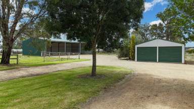 Farm For Sale - VIC - Mywee - 3641 - RURAL LIFESTYLE - ESCAPE TO NATURE  (Image 2)