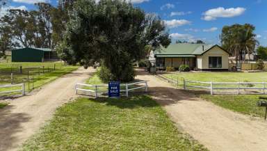 Farm For Sale - VIC - Mywee - 3641 - RURAL LIFESTYLE - ESCAPE TO NATURE  (Image 2)