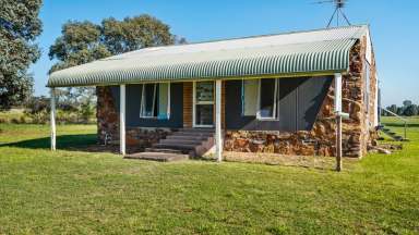 Farm For Sale - NSW - Mendooran - 2842 - Discover the Perfect Rural Retreat at 140 Manusu Drive, Mendooran  (Image 2)