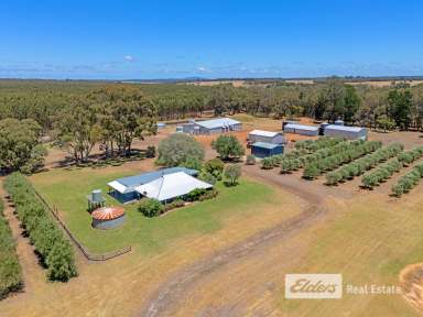 Farm For Sale - WA - Forest Hill - 6324 - The Good Oil – A Premier Olive Grove Estate  (Image 2)