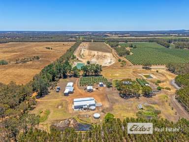 Farm For Sale - WA - Forest Hill - 6324 - The Good Oil – A Premier Olive Grove Estate  (Image 2)