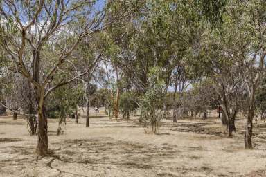 Farm For Sale - WA - Cuballing - 6311 - Relaxed Country Lifestyle  (Image 2)