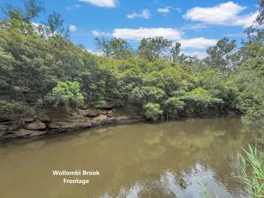 Farm For Sale - NSW - Wollombi - 2325 - Diverse 88 Acres in a Prime Wollombi Location  (Image 2)