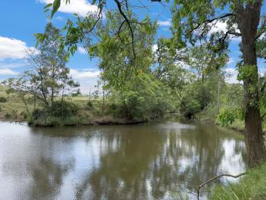 Farm For Sale - NSW - Wollombi - 2325 - Diverse 88 Acres in a Prime Wollombi Location  (Image 2)