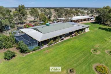 Farm For Sale - NSW - Pomona - 2648 - RARE DARLING RIVER PARCEL WITH LOADS OF POTENTIAL  (Image 2)