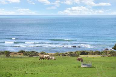 Farm Auction - VIC - Apollo Bay - 3233 - CAPTIVATING APOLLO BAY PROPERTY  (Image 2)