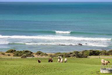 Farm Auction - VIC - Apollo Bay - 3233 - CAPTIVATING APOLLO BAY PROPERTY  (Image 2)