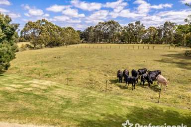 Farm For Sale - VIC - Alberton West - 3971 - SECLUDED 9 ACRE (4.2 HA) COUNTRY ESTATE IN GIPPSLAND / IDYLLIC COUNTRY FAMILY HOME.  (Image 2)