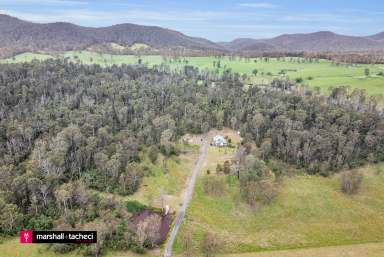 Farm For Sale - NSW - Wandella - 2550 - An Idyllic Country Retreat - "Benaroo"  (Image 2)