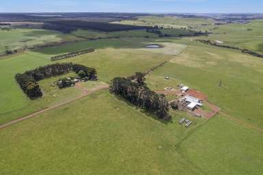 Farm For Sale - VIC - Digby - 3309 - "HILL VIEW"  (Image 2)