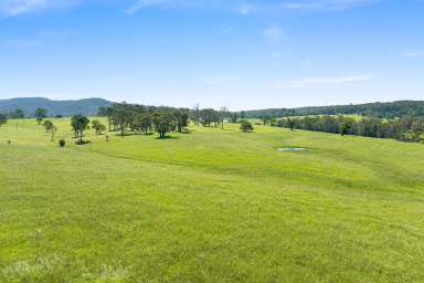 Farm For Sale - NSW - Cobargo - 2550 - 112 Acres of Prime Pasture Acreage with Attractive Diversity  (Image 2)