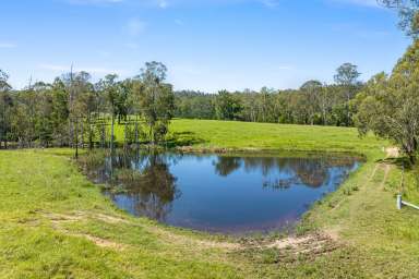 Farm For Sale - NSW - Cobargo - 2550 - 112 Acres of Prime Pasture Acreage with Attractive Diversity  (Image 2)