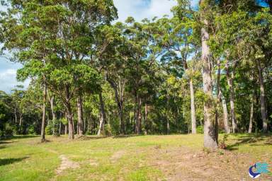 Farm For Sale - NSW - Bermagui - 2546 - Perfect 2.5-Acre Dream Home Site  (Image 2)