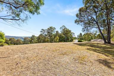 Farm For Sale - NSW - Narooma - 2546 - Vacant Land - Peaceful and Private Acreage with Views  (Image 2)