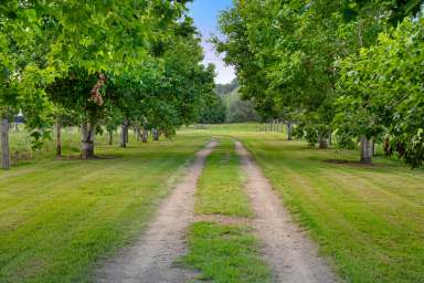 Farm For Sale - QLD - Kenilworth - 4574 - Kalbilli Farm, Kenilworth - Elegance and Rural Charm in Perfect Harmony  (Image 2)