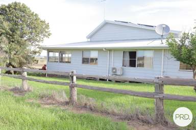 Farm For Sale - NSW - Mendooran - 2842 - Mixed grazing and cropping property.  (Image 2)