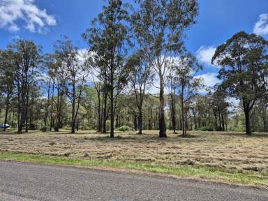 Farm For Sale - QLD - Blackbutt North - 4314 - Prime 6.9 Acres only 5 Minutes to Blackbutt Town  (Image 2)