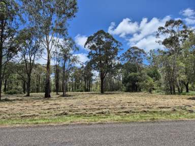 Farm For Sale - QLD - Blackbutt North - 4314 - Prime 6.9 Acres only 5 Minutes to Blackbutt Town  (Image 2)