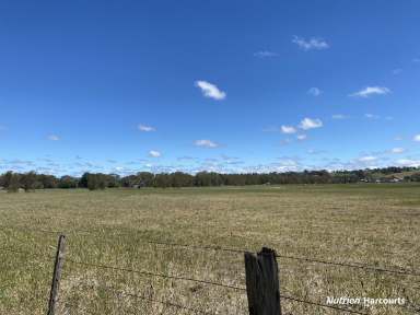 Farm For Sale - VIC - Casterton - 3311 - Picture perfect paddock on the edge of town.  (Image 2)