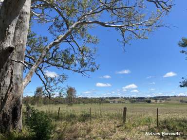 Farm For Sale - VIC - Casterton - 3311 - Picture perfect paddock on the edge of town.  (Image 2)