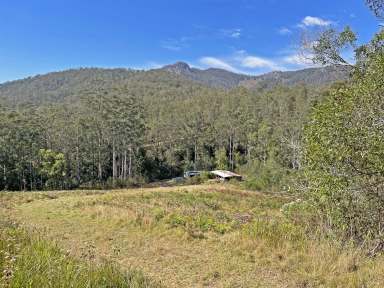 Farm Sold - NSW - Wherrol Flat - 2429 - Motivated Seller Offers a Slice of Paradise  (Image 2)