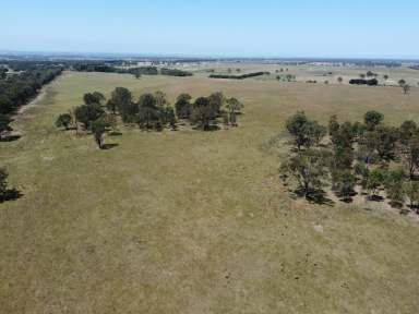 Farm For Sale - VIC - Bairnsdale - 3875 - 37.7 HECTARES CLOSE TO BAIRNSDALE  (Image 2)