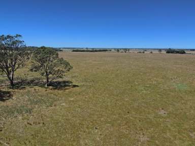 Farm For Sale - VIC - Bairnsdale - 3875 - 37.7 HECTARES CLOSE TO BAIRNSDALE  (Image 2)