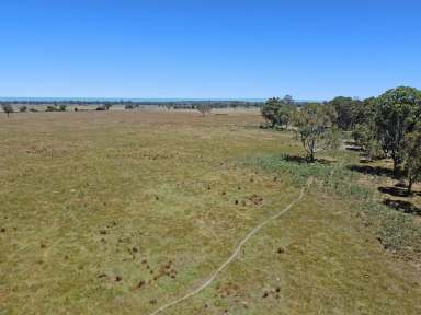 Farm For Sale - VIC - Bairnsdale - 3875 - Lot 2 - 488 BENGWORDEN ROAD  (Image 2)