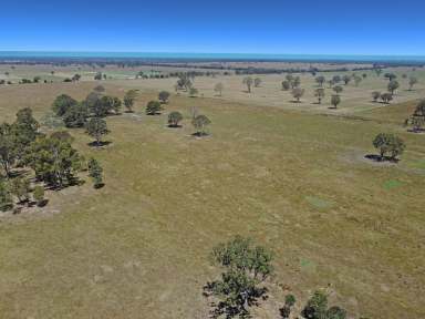 Farm For Sale - VIC - Bairnsdale - 3875 - Lot 2 - 488 BENGWORDEN ROAD  (Image 2)