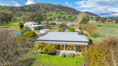 Farm For Sale - NSW - Wymah - 2640 - ESTABLISHED INTEGRATED ORGANIC FARM  (Image 2)