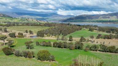 Farm For Sale - NSW - Wymah - 2640 - ESTABLISHED INTEGRATED ORGANIC FARM  (Image 2)