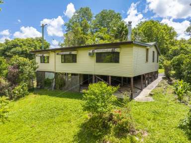 Farm For Sale - NSW - Nimbin - 2480 - Charming Renovation Opportunity on Beautiful Bushland  (Image 2)