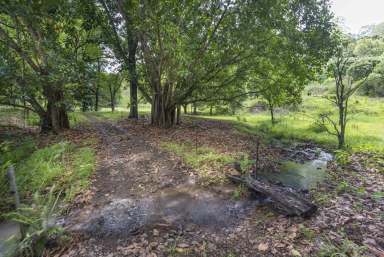 Farm For Sale - NSW - Nimbin - 2480 - Charming Renovation Opportunity on Beautiful Bushland  (Image 2)