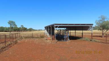 Farm For Sale - NSW - Ivanhoe - 2878 - TASMAN & CORINYA STATIONS  (Image 2)