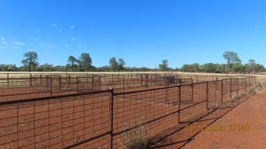 Farm For Sale - NSW - Ivanhoe - 2878 - TASMAN & CORINYA STATIONS  (Image 2)