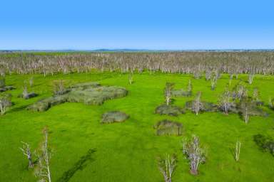 Farm For Sale - NSW - Belmore River - 2440 - Prime Country Coastal Acreage with Flood Free Building Envelope  (Image 2)