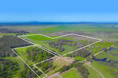 Farm For Sale - NSW - Belmore River - 2440 - Prime Country Coastal Acreage with Flood Free Building Envelope  (Image 2)