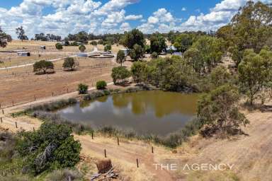 Farm For Sale - WA - Wooroloo - 6558 - "SIMPLY SUPERB"  (Image 2)