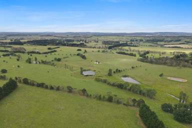 Farm For Sale - NSW - Sutton Forest - 2577 - Araluen Grazing - Substantial Acreage - Within Easy Drive of Sydney  (Image 2)