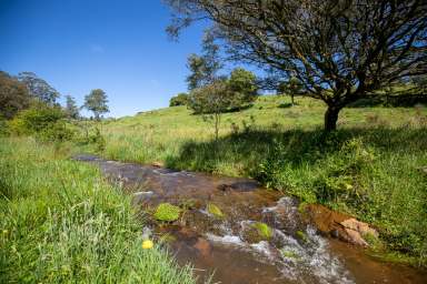 Farm For Sale - NSW - Fernbrook - 2453 - 'Heronwood', Dorrigo  (Image 2)