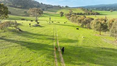 Farm For Sale - NSW - Mullengandra - 2644 - SECLUDED LIFESTYLE WITH BEAUTIFUL HOME & VIEWS TO DIE FOR  (Image 2)