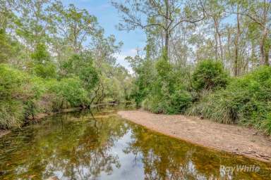 Farm For Sale - QLD - Horse Camp - 4671 - "585 Horsecamp Road, Horse Camp"  (Image 2)