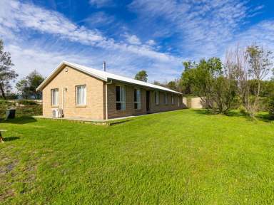 Farm For Sale - NSW - Bemboka - 2550 - RURAL LIFESTYLE  (Image 2)